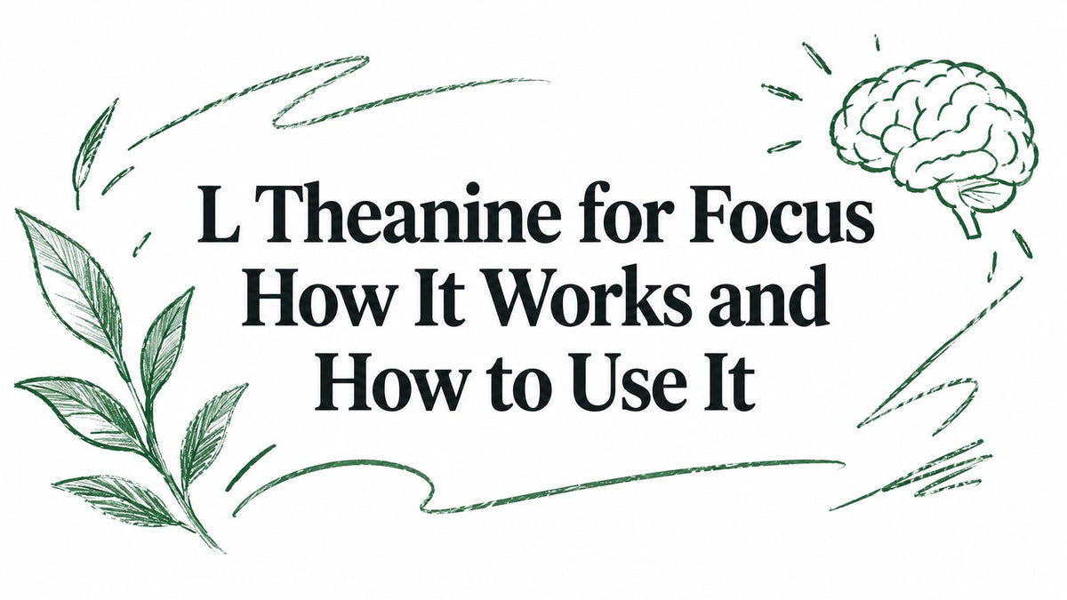 L Theanine for Focus How It Works and How to Use It