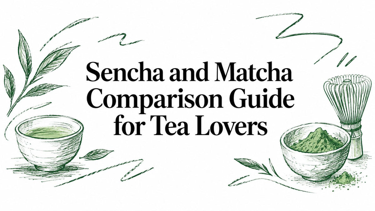 Sencha and Matcha Comparison Guide for Tea Lovers